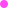 portfolio right bottom dot image